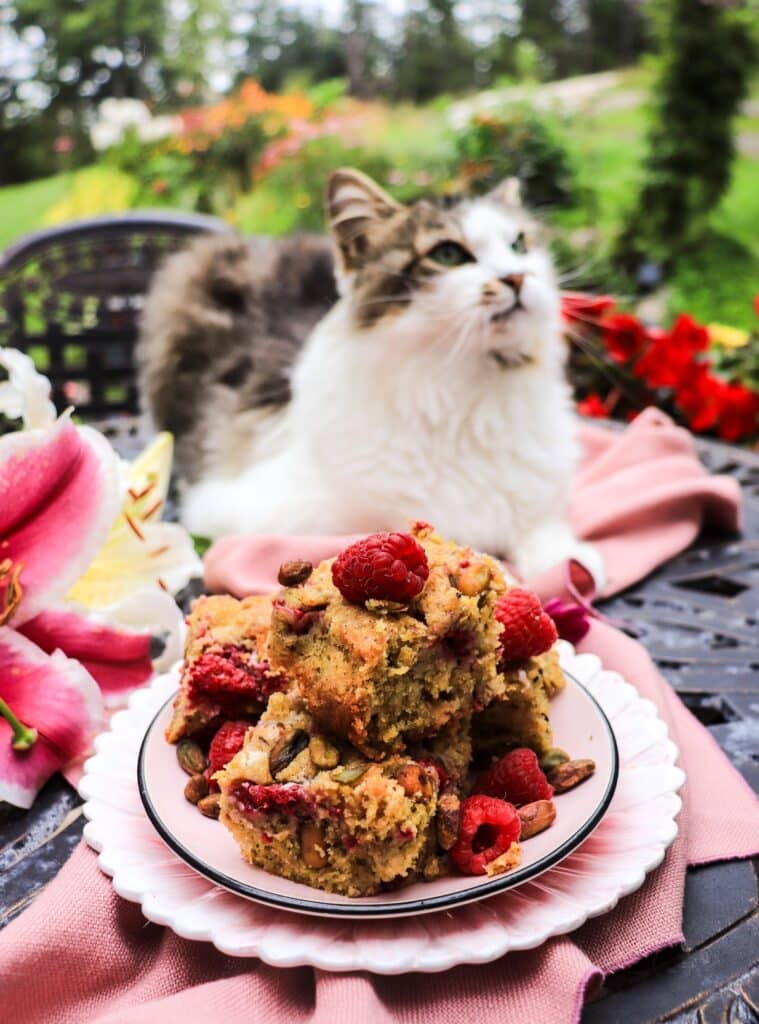 Raspberry Pistachio Cake Bars with White Chocolate