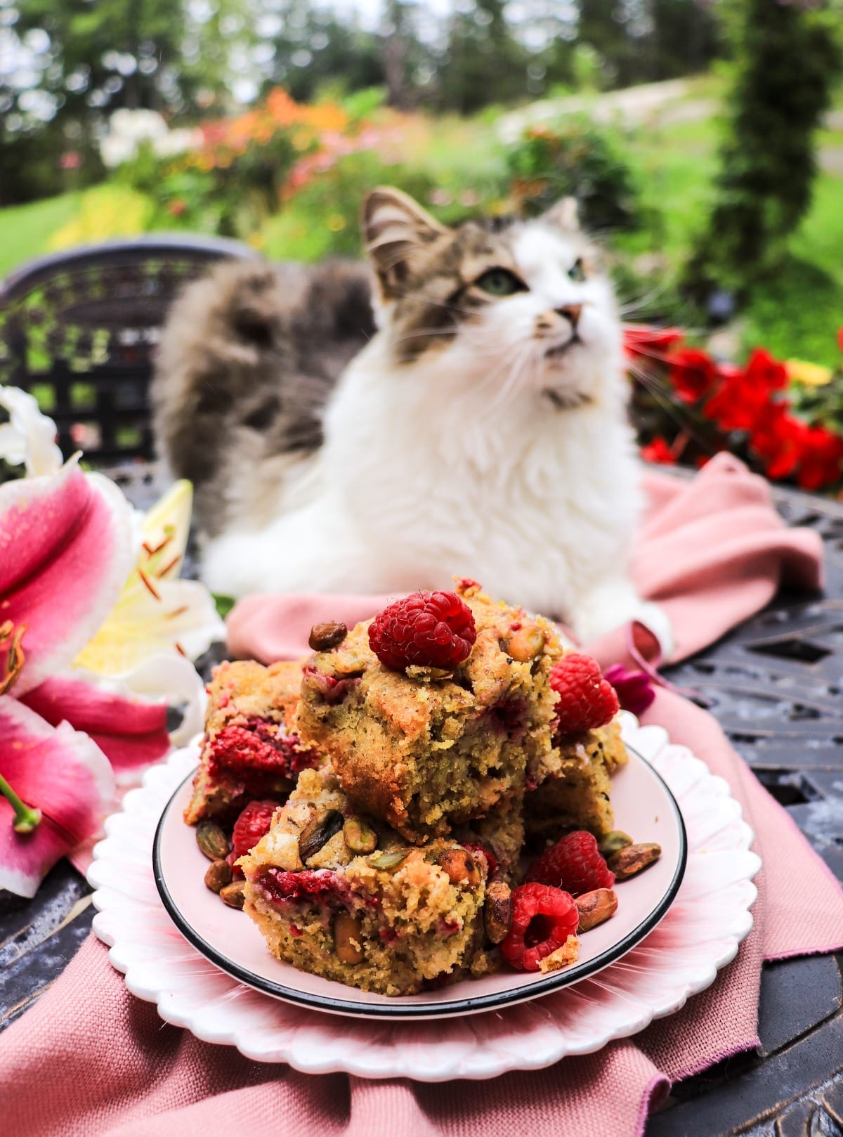 raspberry pistachio cake bars with white chocolate