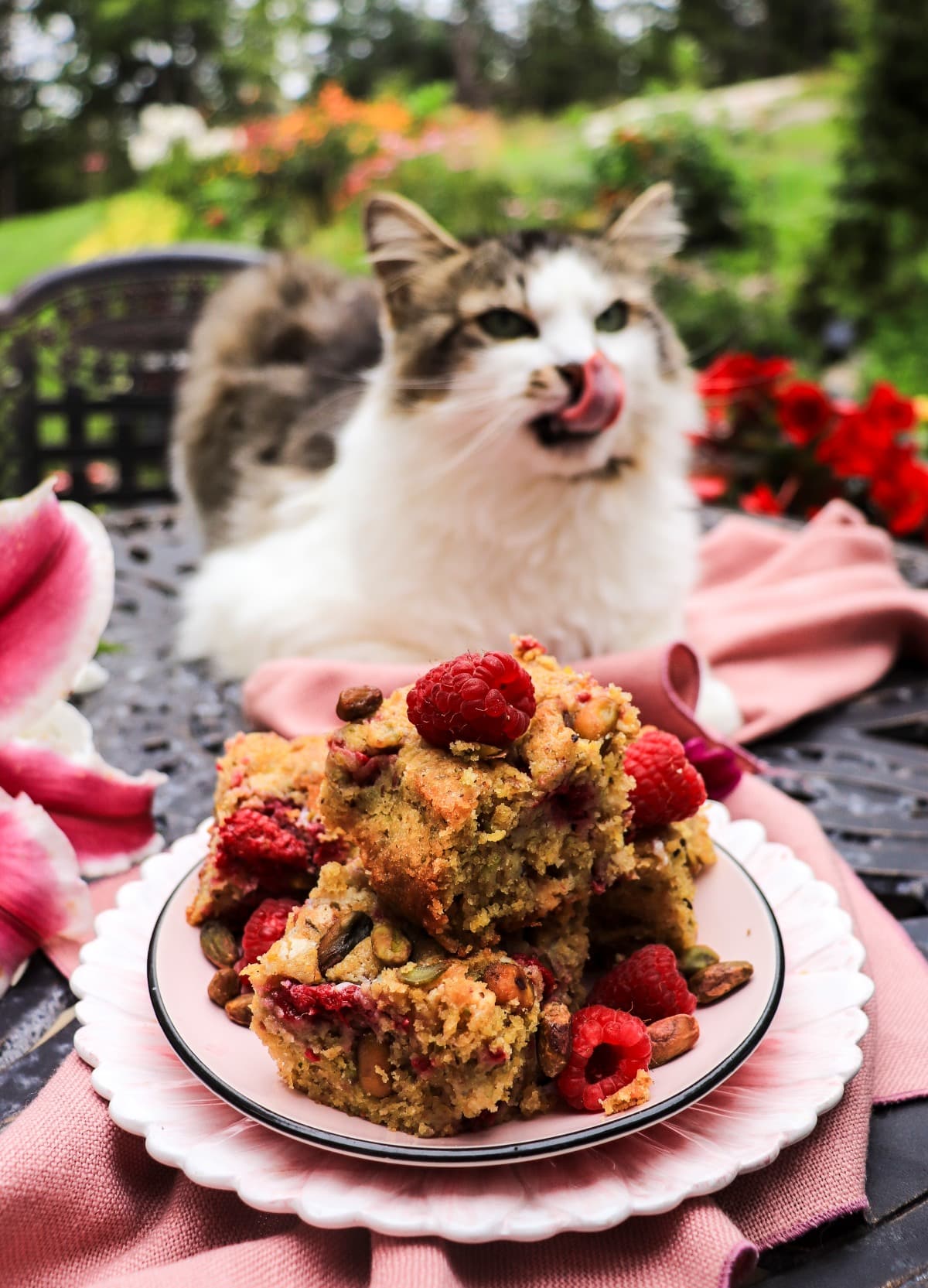 raspberry pistachio cake bars