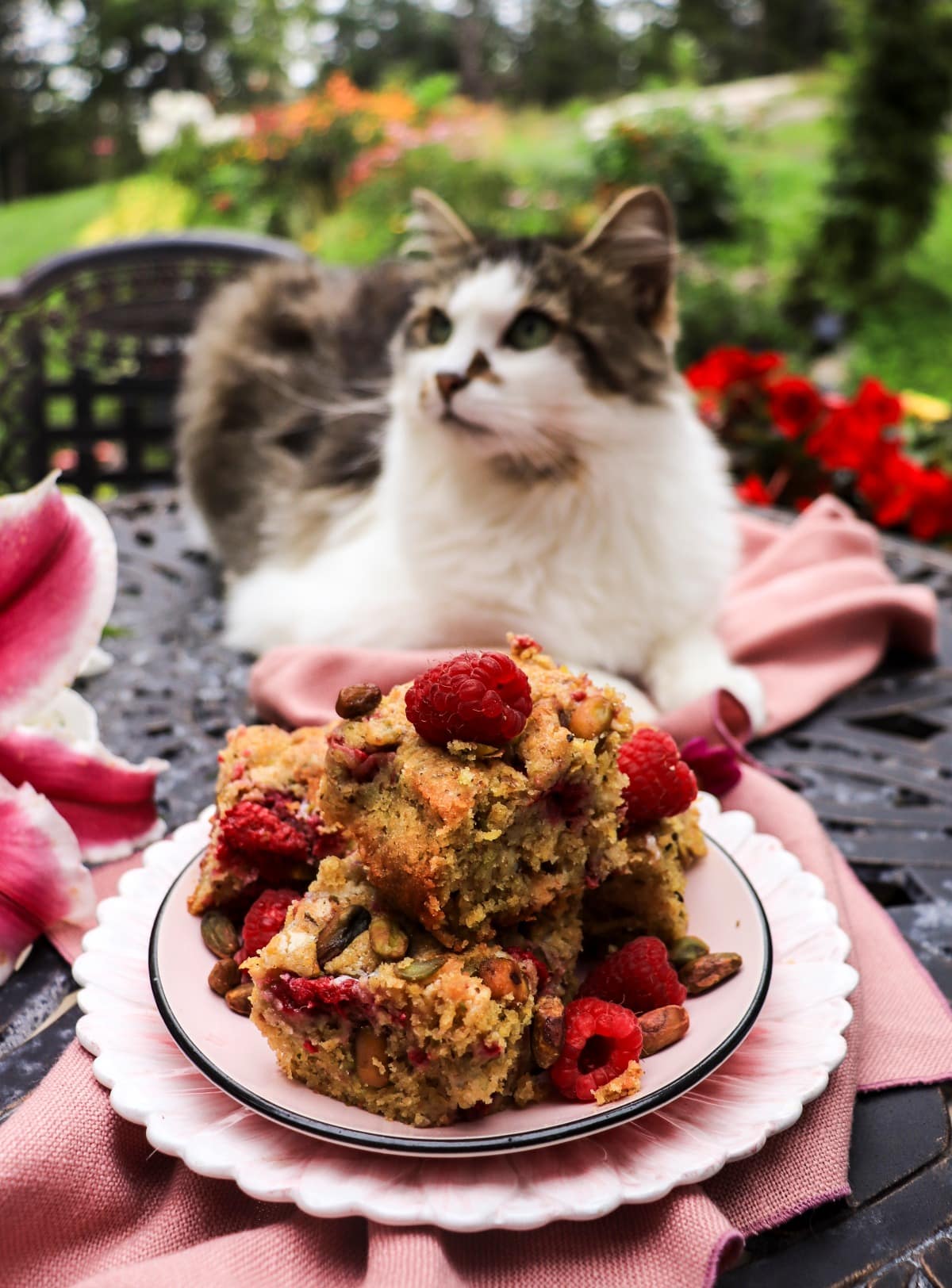 raspberry pistachio cake bars recipe with white chocolate