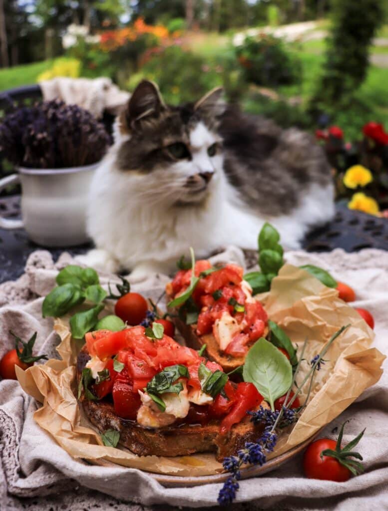 Tomato Bruschetta with Mozzarella and Lavender