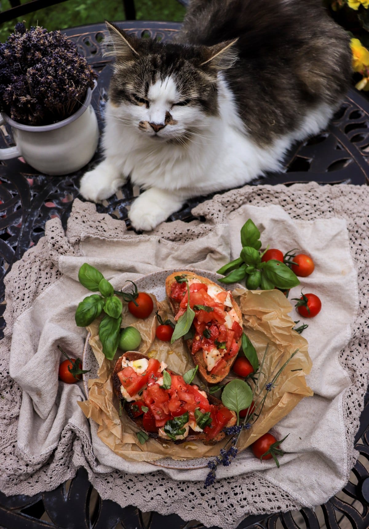 bruschetta with tomato, lavender, basil, and mozzarella