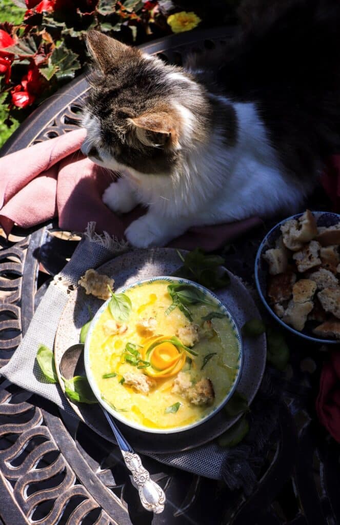 Zucchini Gazpacho with Cucumber and Basil