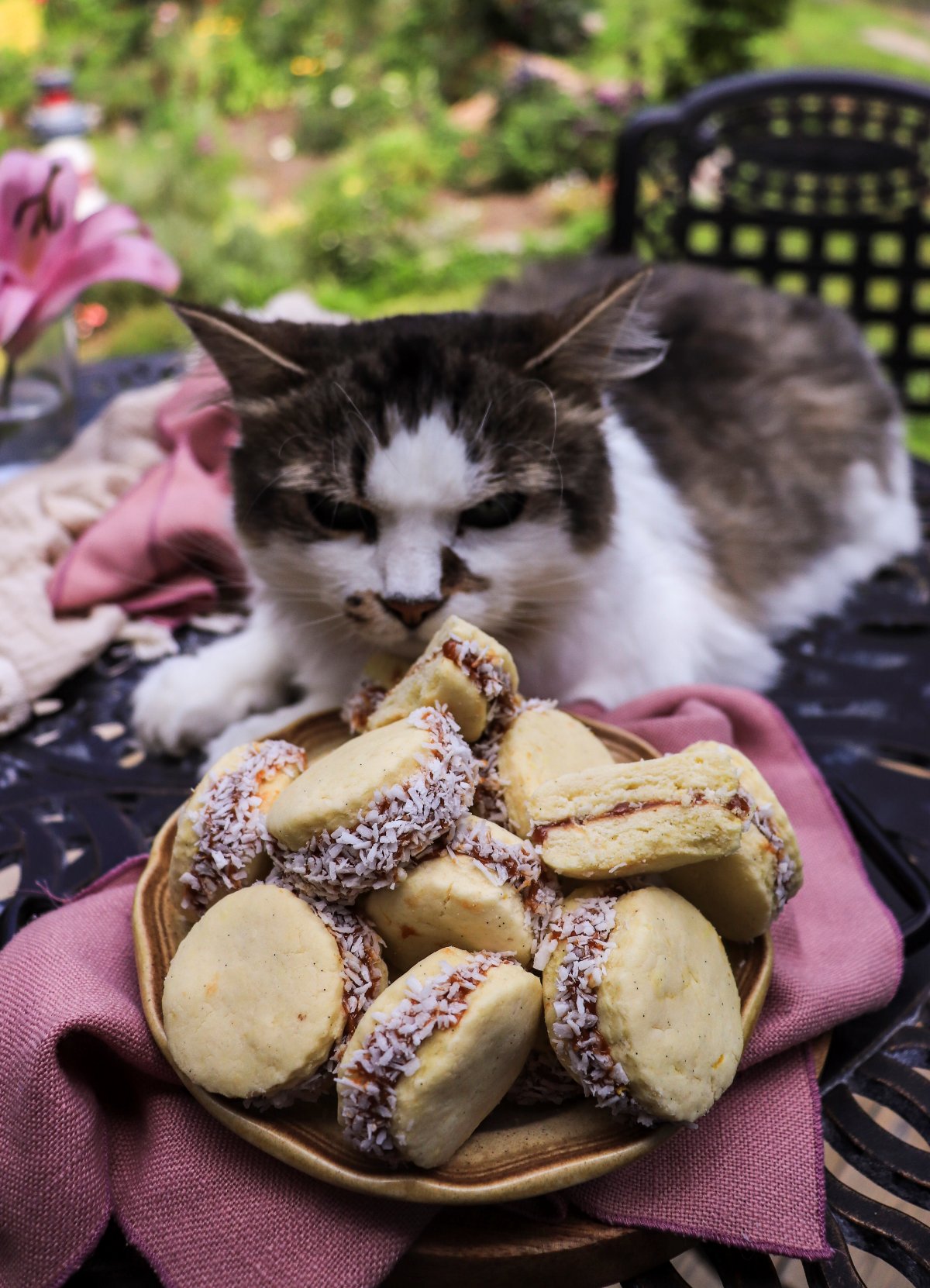 alfajores recipe with coconut and dulce de leche
