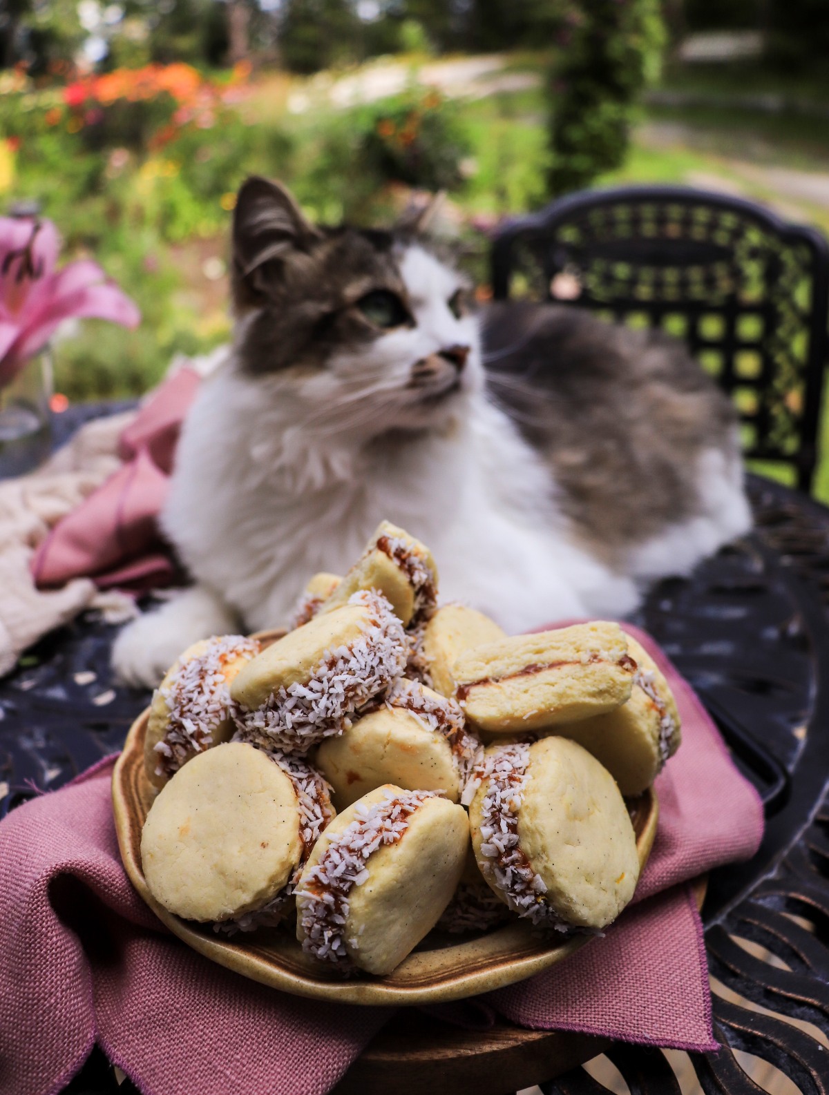 Alfajores de Maicena – Argentinian Dulce de Leche Cookies