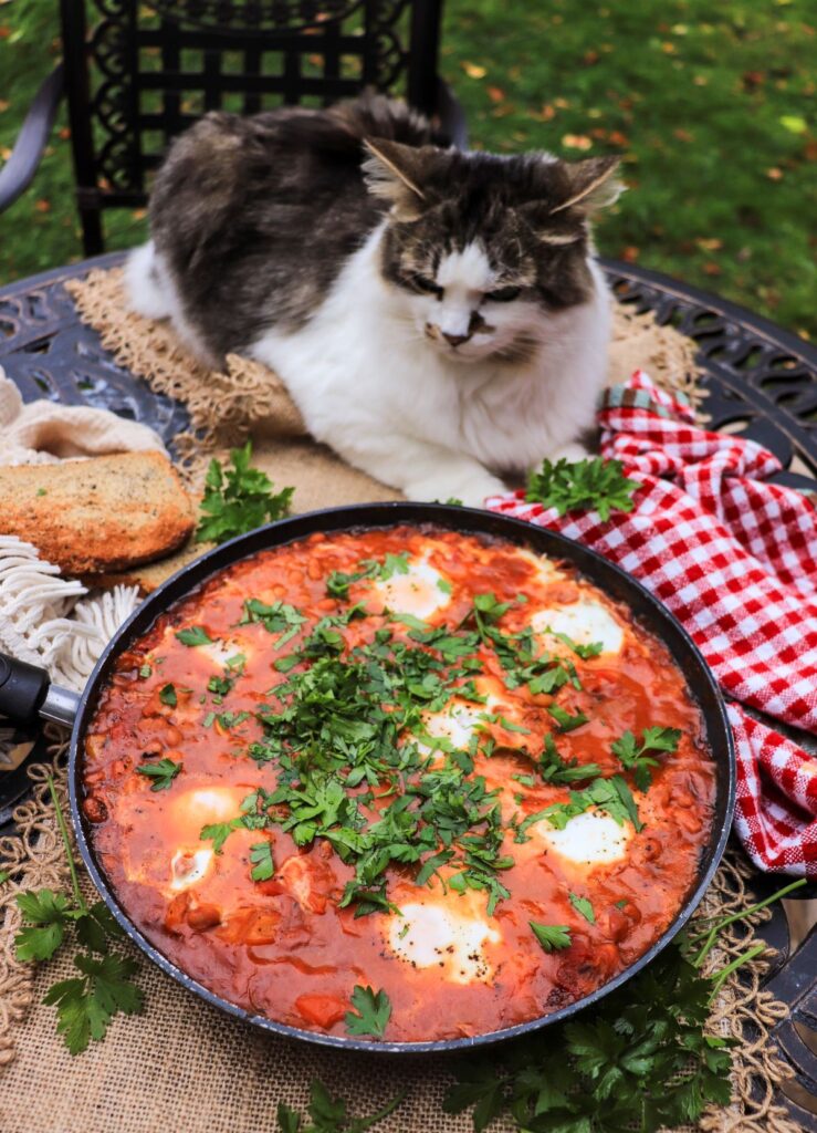 Baked Bean Shakshuka with Tomatoes and Eggs
