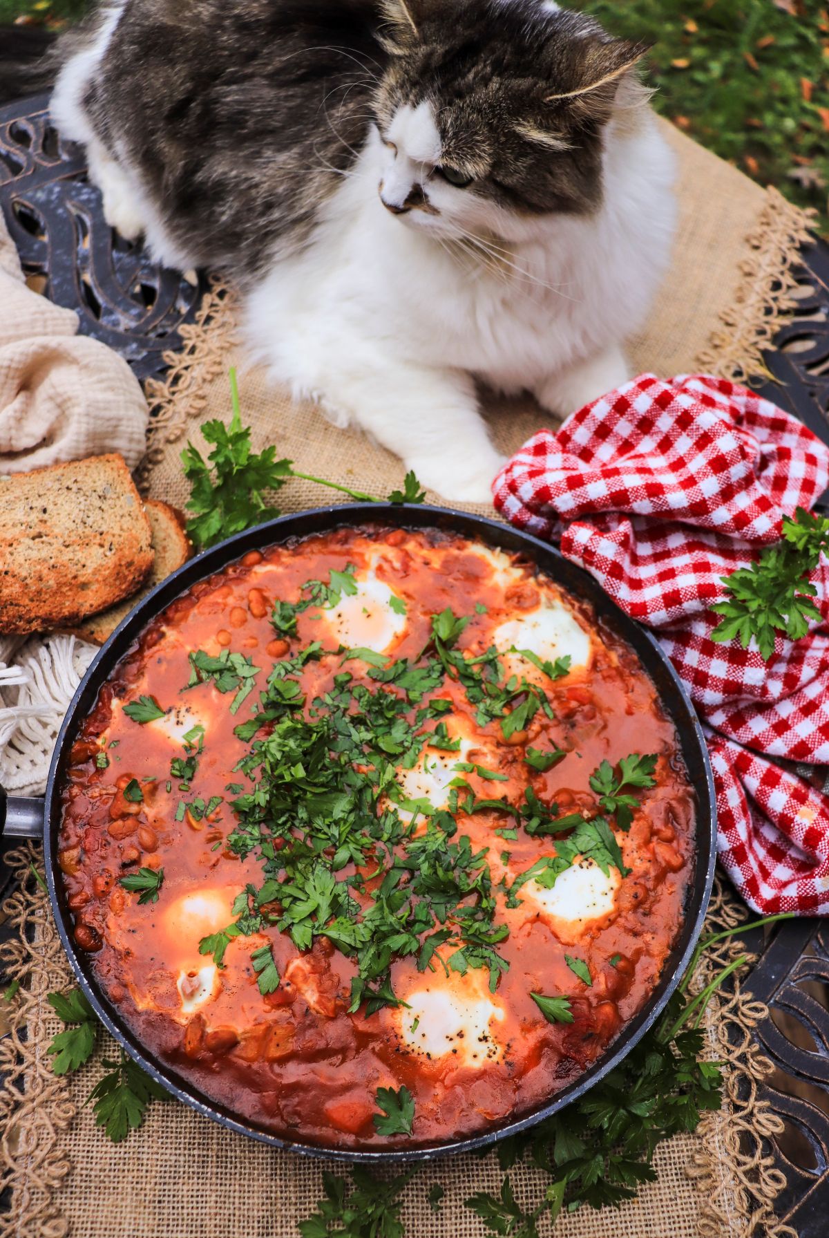 baked bean shakshuka recipe