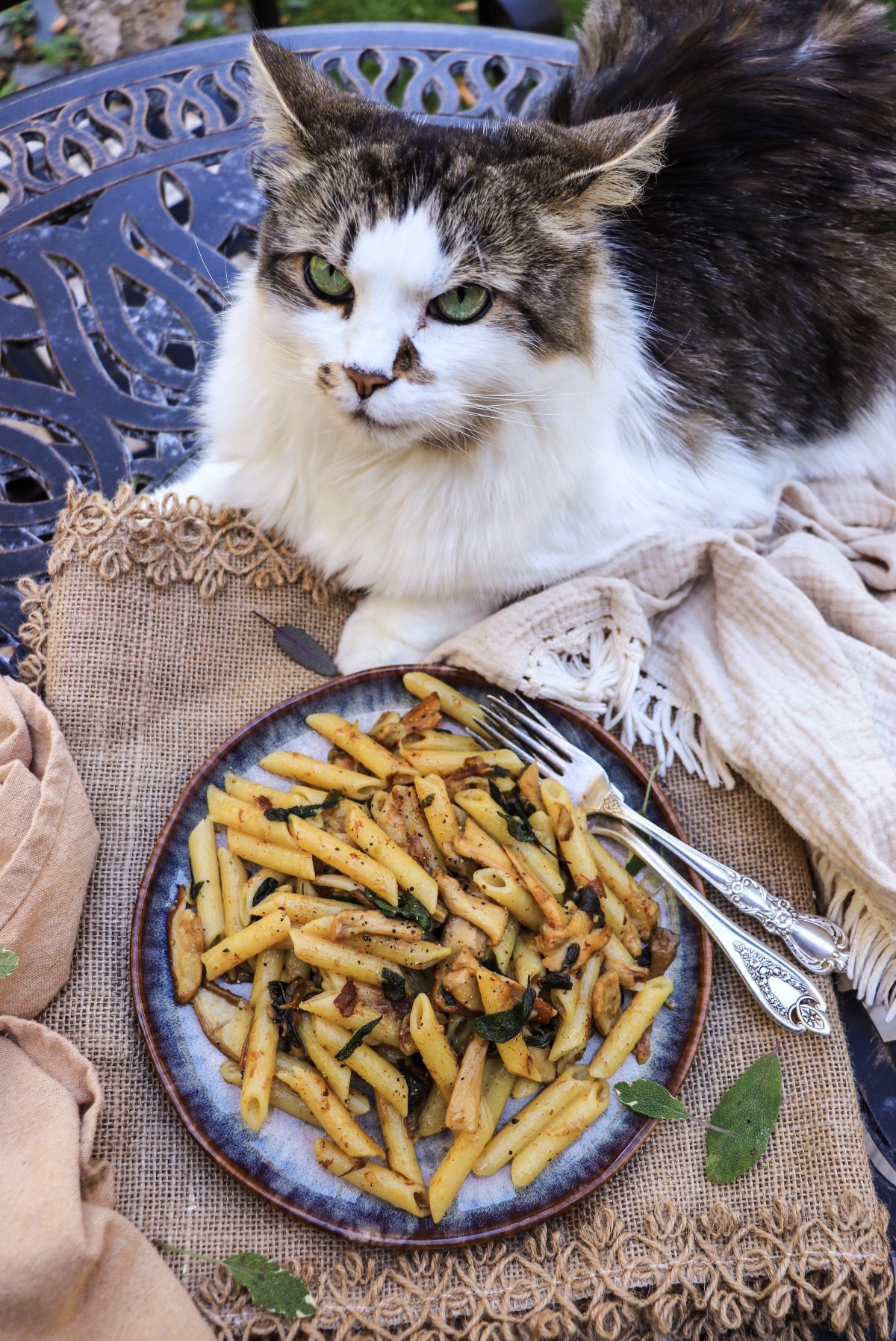porcini pasta recipe with brown butter and sage