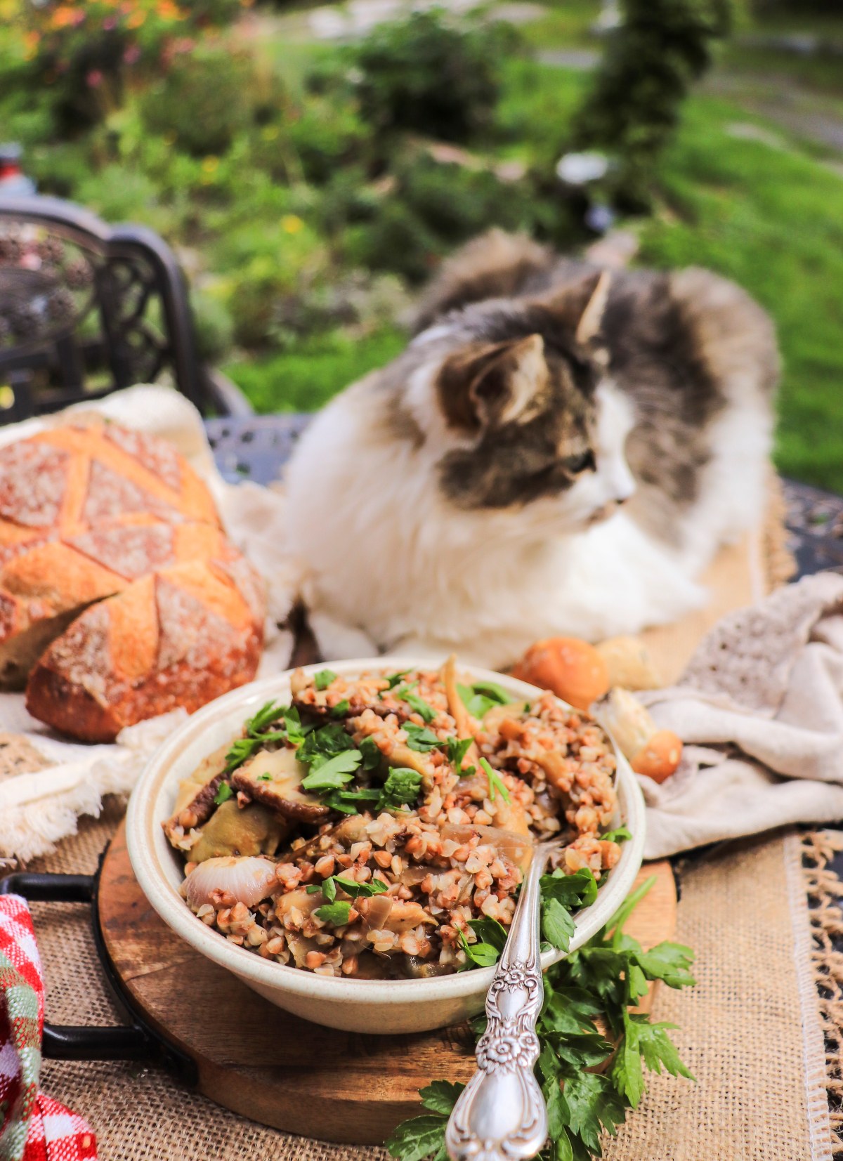 kasha with porcini mushrooms and onions