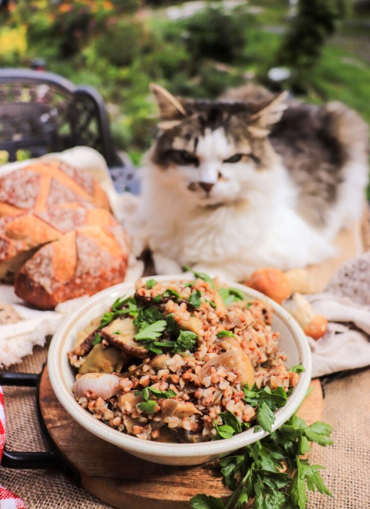 Buckwheat with Porcini Mushrooms and Onions