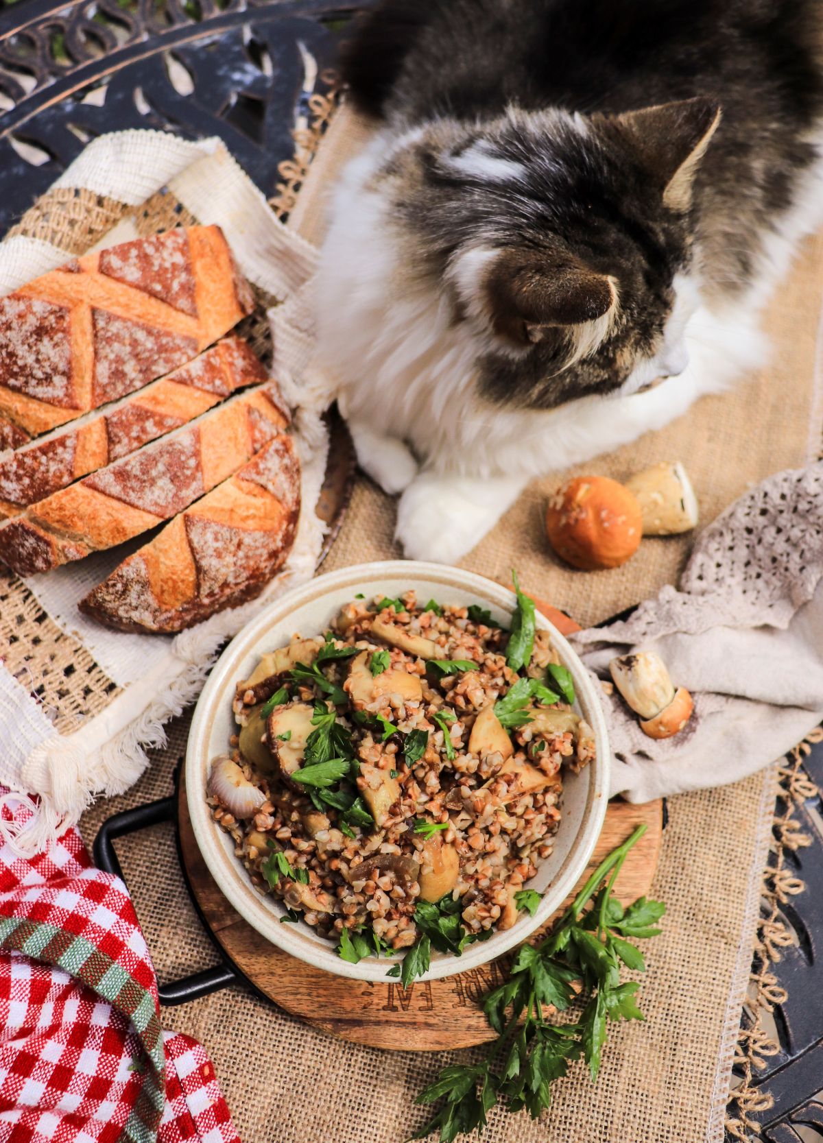 buckwheat groats recipe with wild porcini mushrooms and caramelized onions (kasha recipe)
