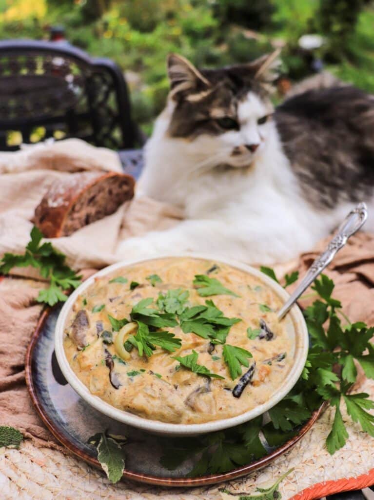 Slavic-Style Creamy Wild Mushroom Stew