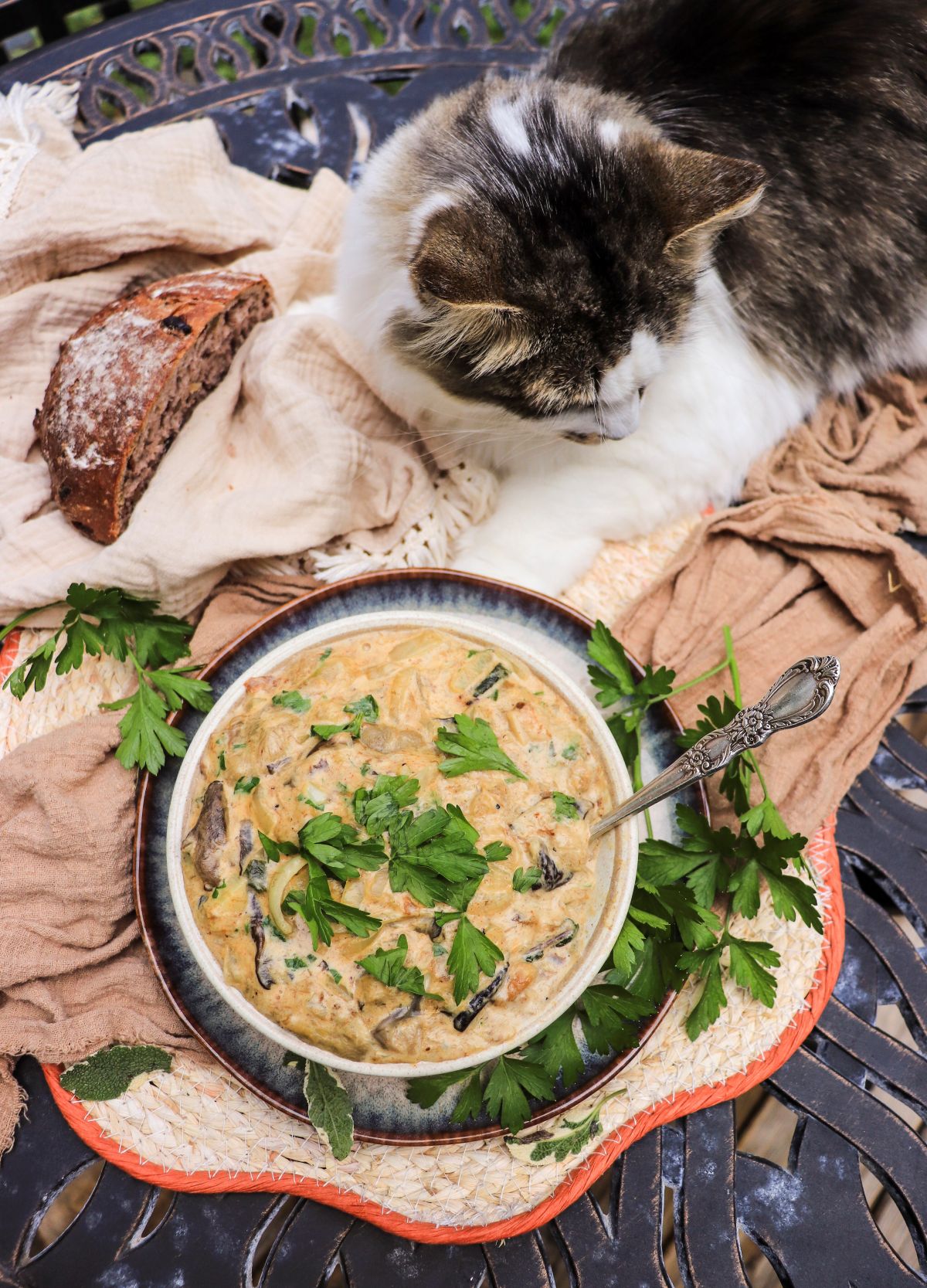 wild mushroom stew with onions and sour cream