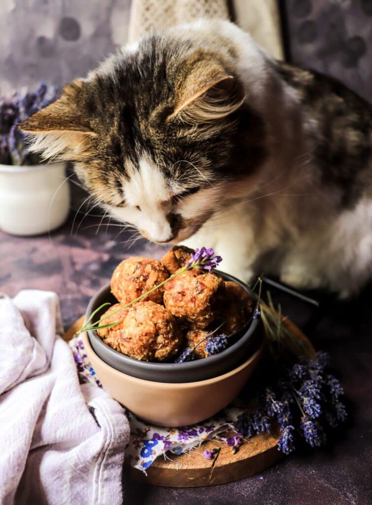 Date Cashew Truffles with Lavender