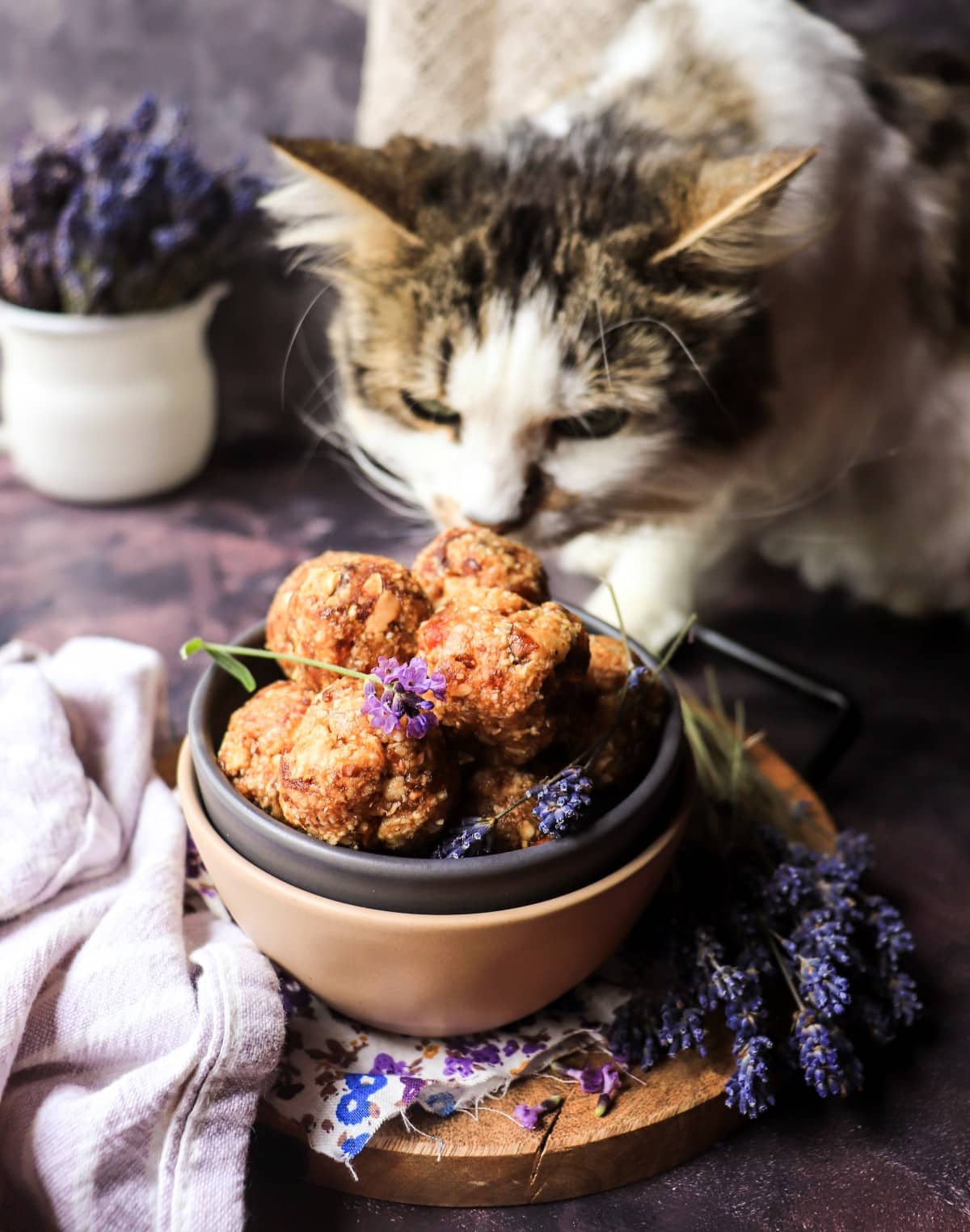 no-bake date energy balls with Daisy the cat