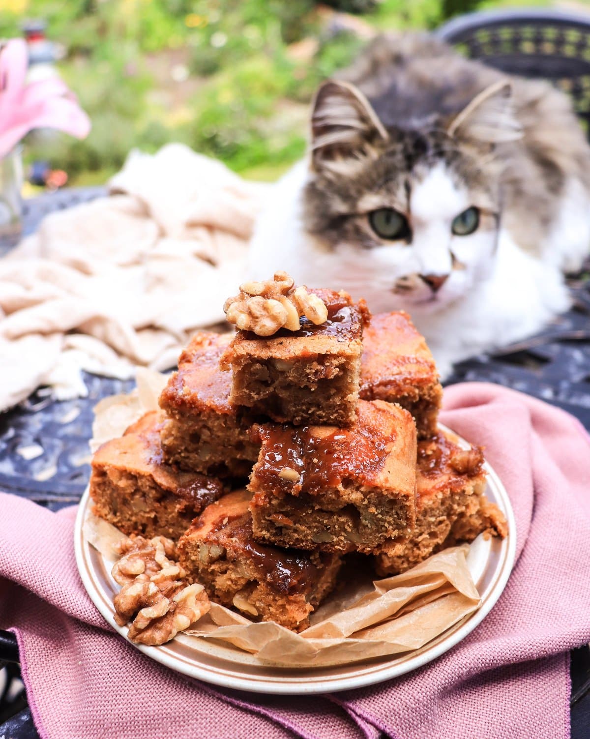 dulce de leche cake bars with walnuts with cat in the background