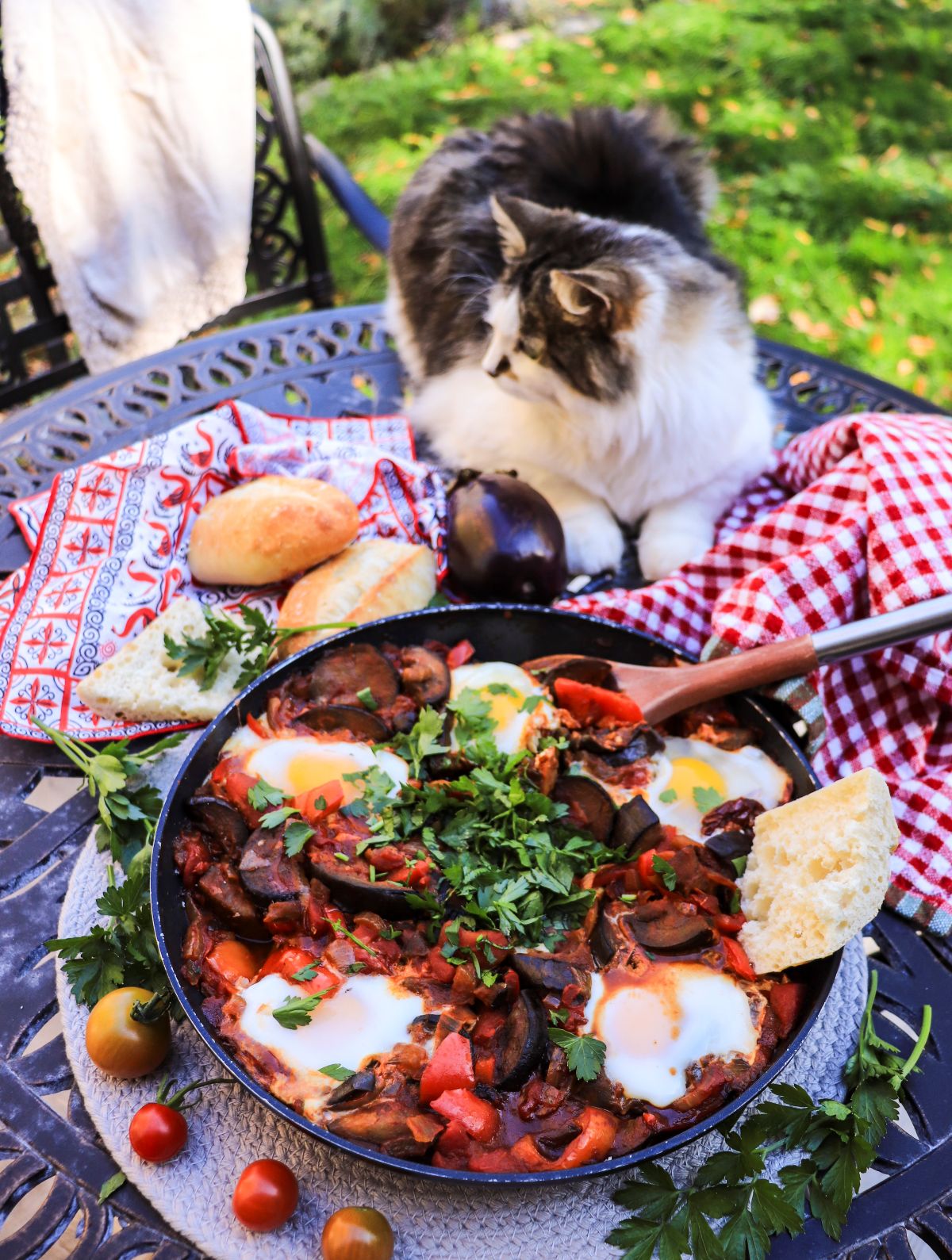 eggplant shakshuka with chipotle and poached eggs