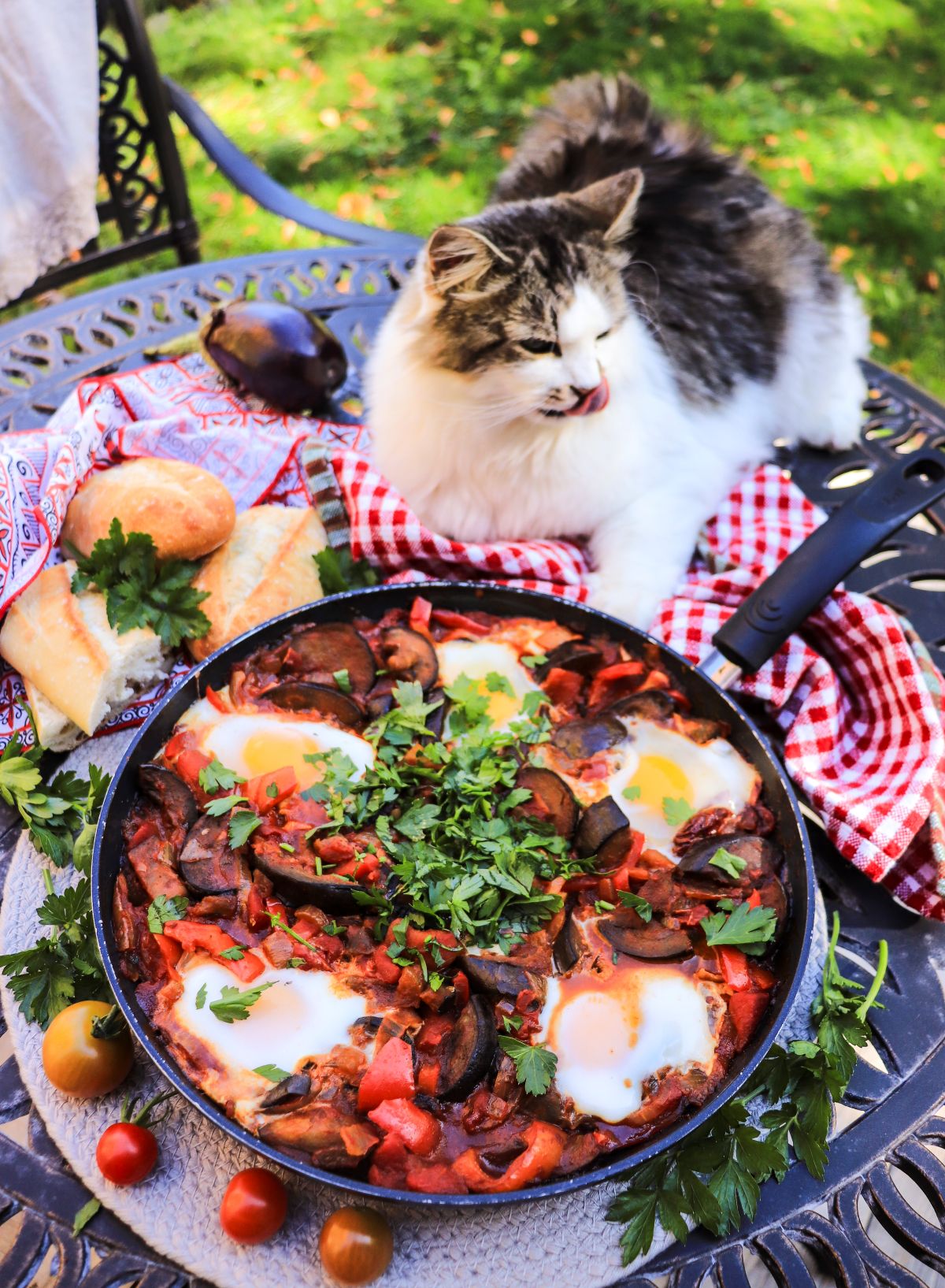 fresh tomato shakshuka with eggplant