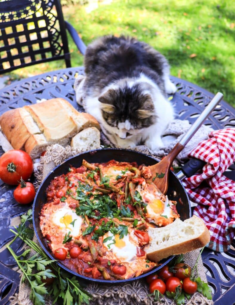 Green Bean Shakshuka with Fresh Tomatoes