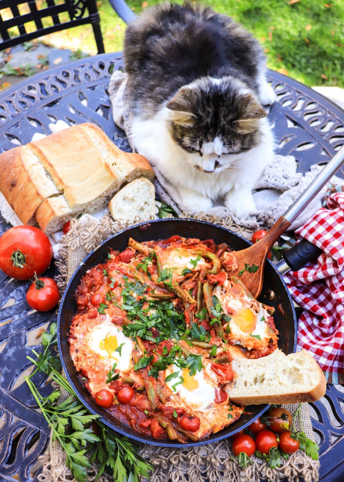 shakshuka recipe with fresh tomatoes and green beans