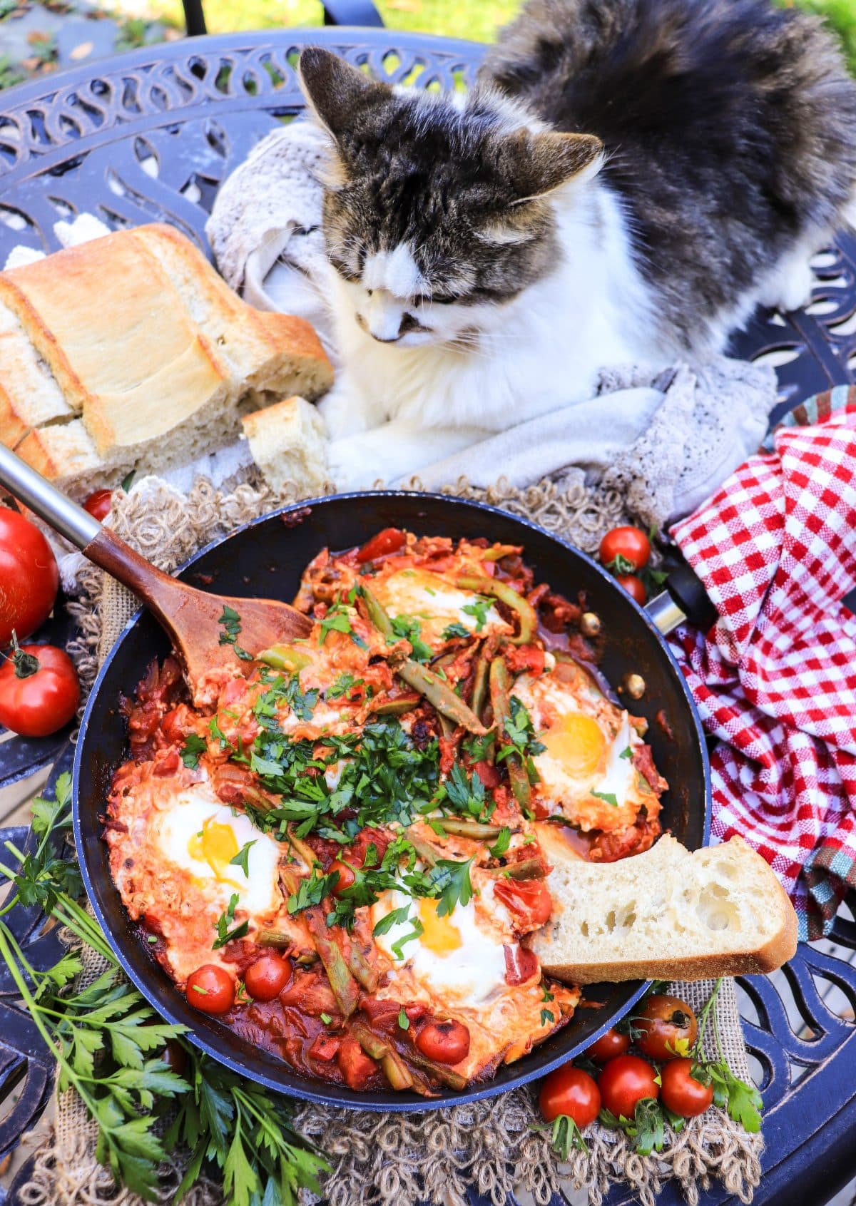 fresh tomato shakshuka with green beans