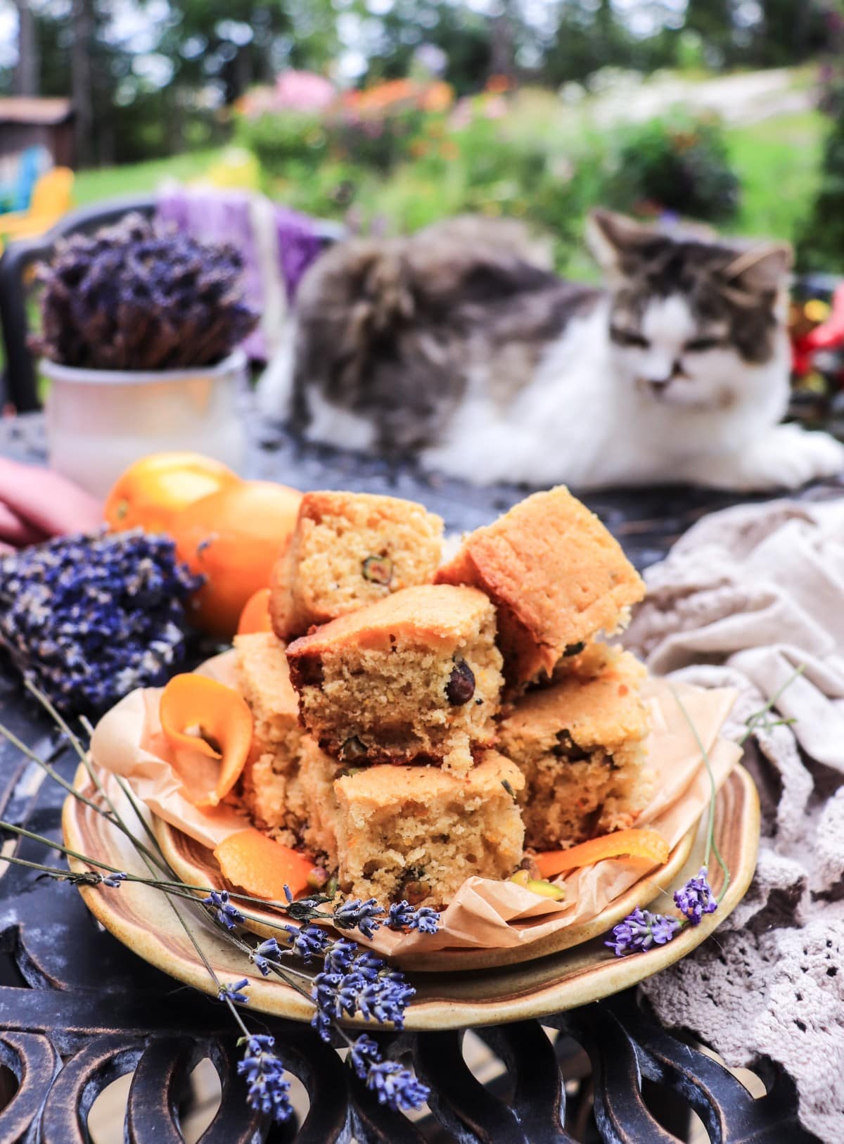 orange pistachio cake bars with lavender