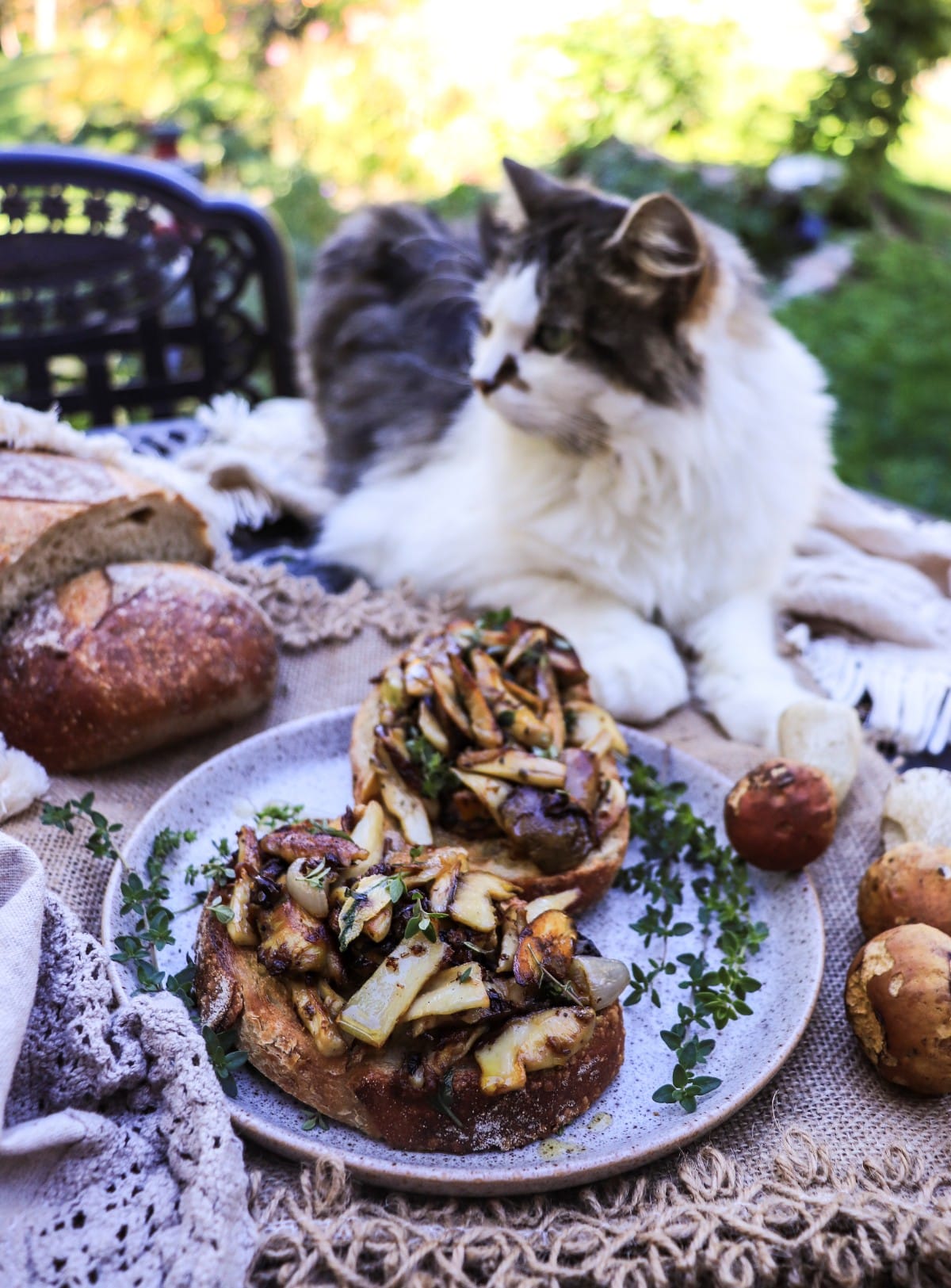 porcini mushroom bruschetta with wild mushrooms, thyme, and sage