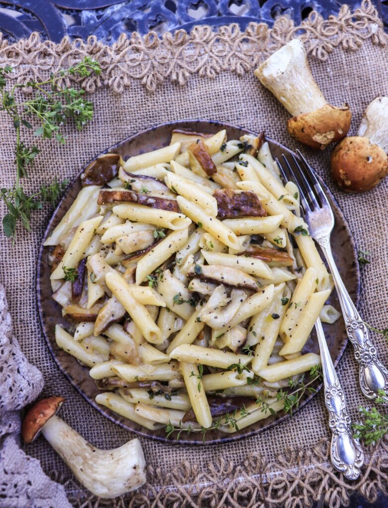 creamy wild porcini mushroom pasta without cream