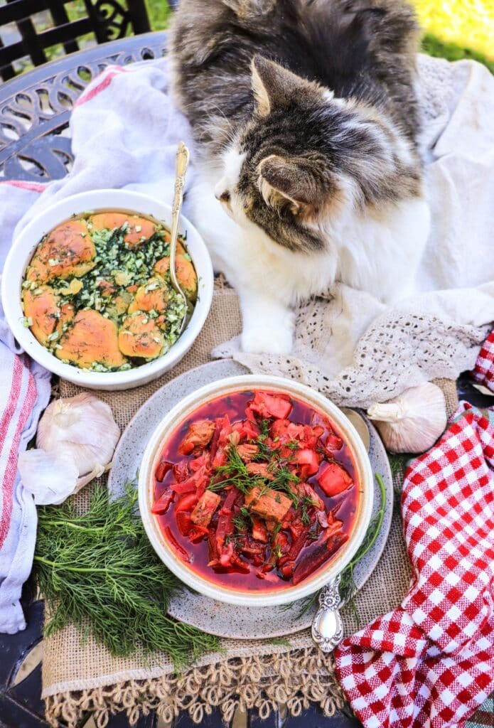 Traditional Ukrainian Borscht