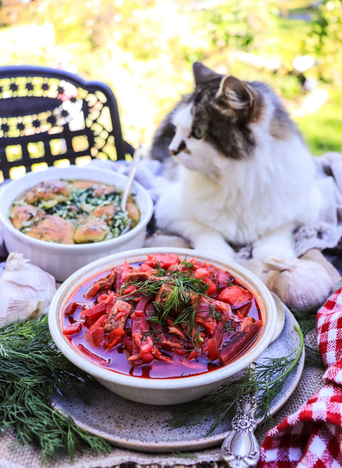 Ukrainian Borscht Recipe – Traditional Beet Soup  with beef, cabbage and potatoes